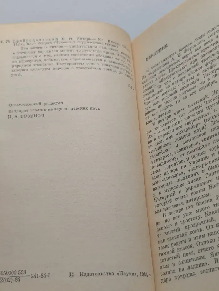 Человек и окружающая среда. Янтарь