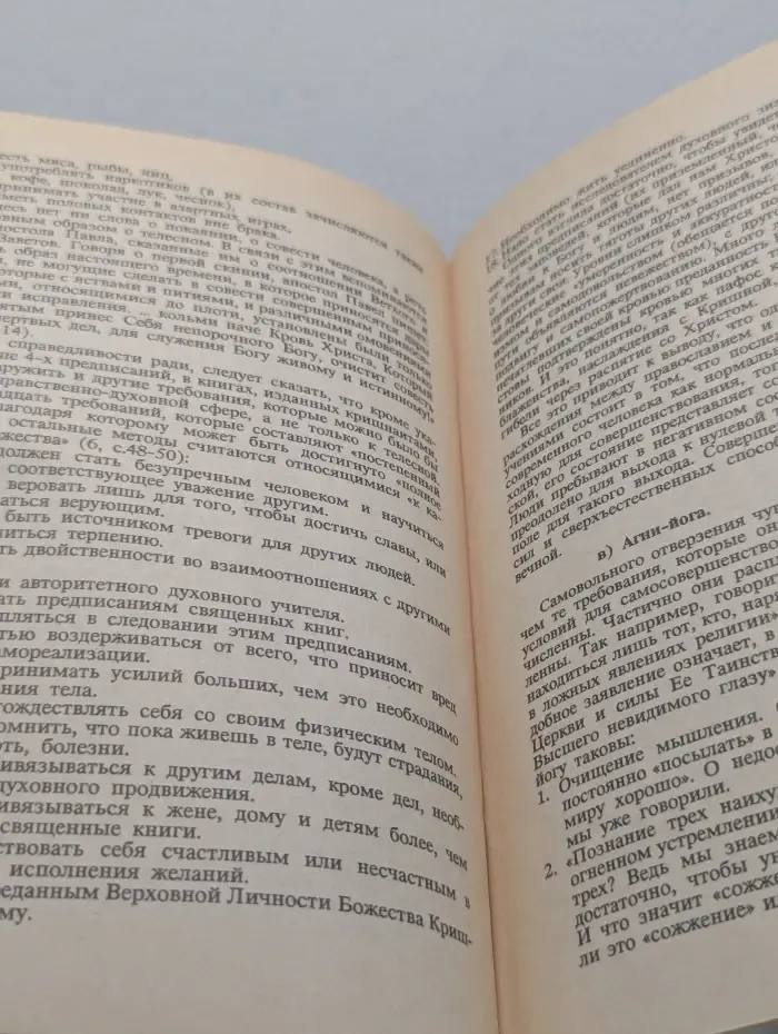 Даниловский благовестник. Православный путь ко спасению и восточные и оккультные мистические учения