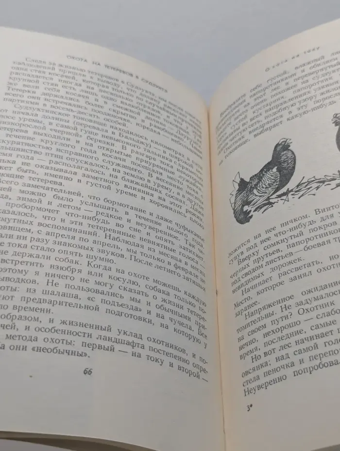Путешествия. Приключения. Фантастика. Необычные случаи на охоте и рыбной ловле