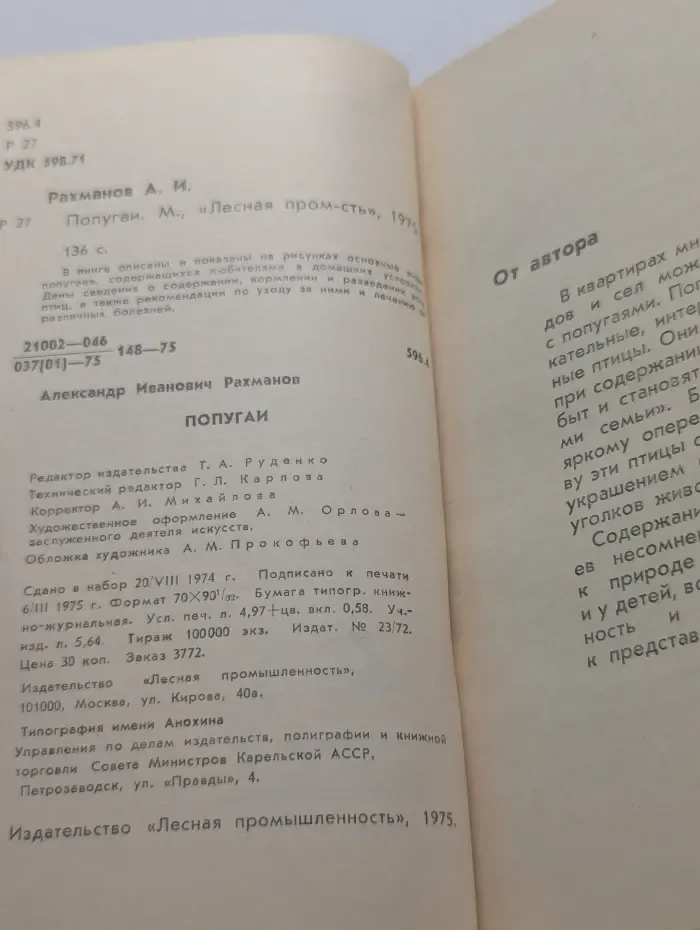 Попугаи