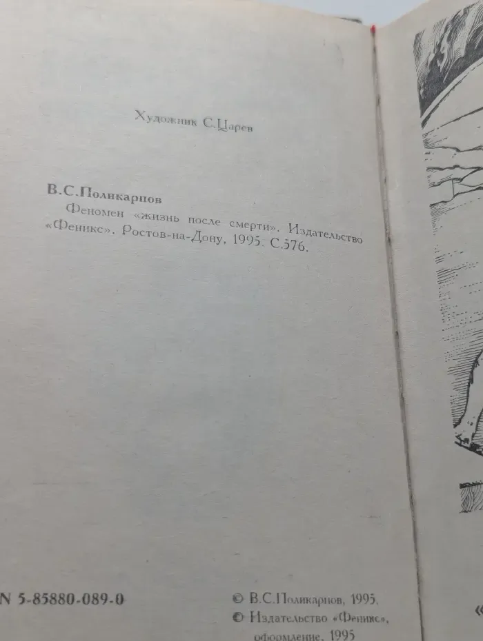 По ту сторону зеркала. Феномен жизнь после смерти