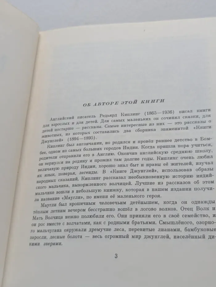 Школьная библиотека. Маугли