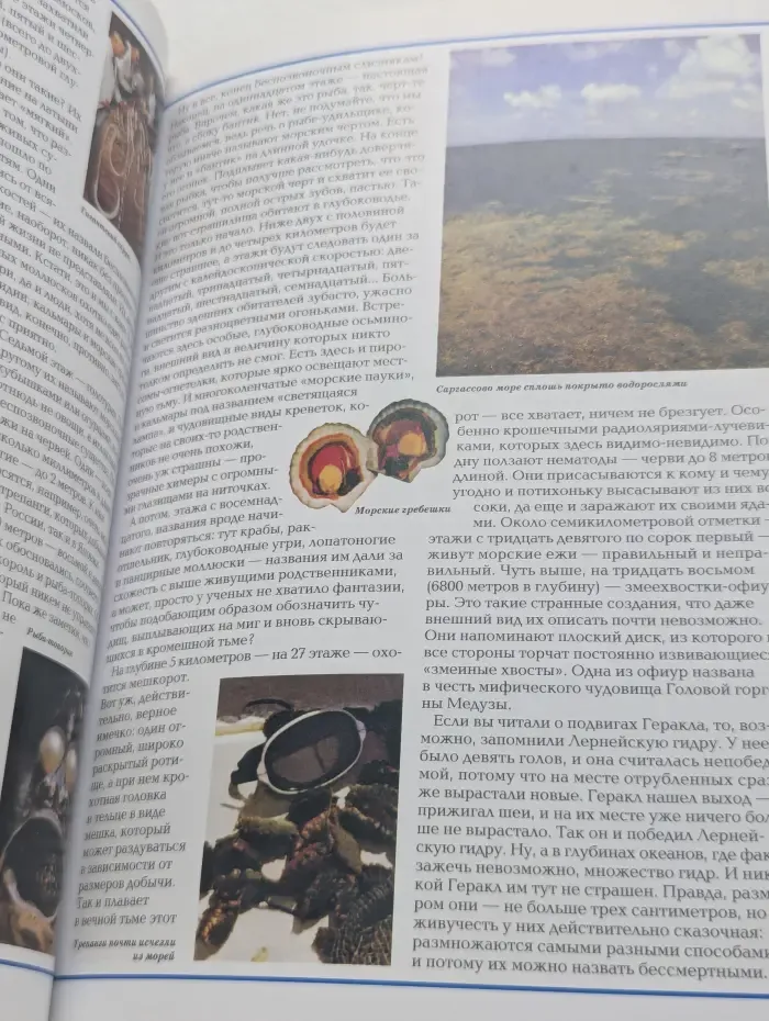Занимательные науки. Тайны природы