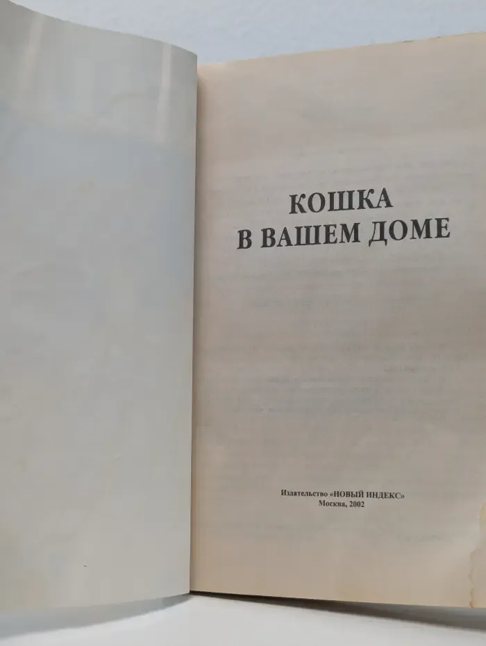 Кошка в вашем доме