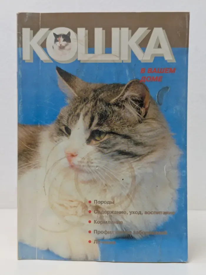 Кошка в вашем доме
