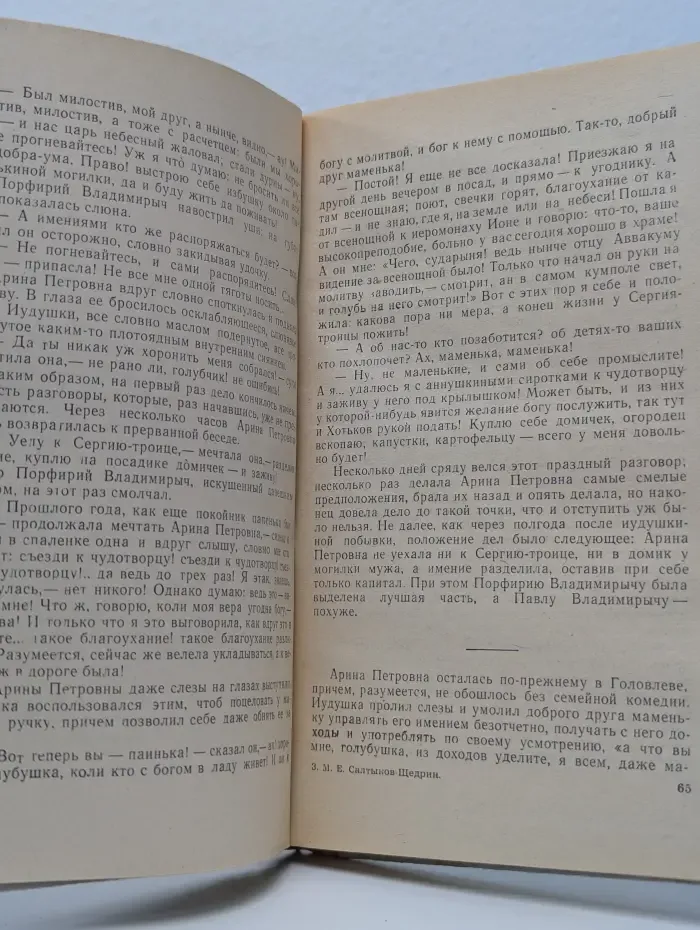 Школьная библиотека. Господа Головлевы