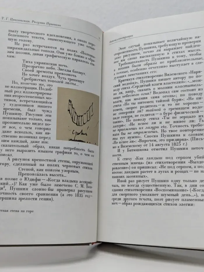 Рисунки Пушкина