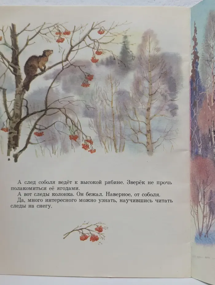 Следы на снегу