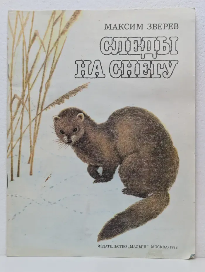 Следы на снегу
