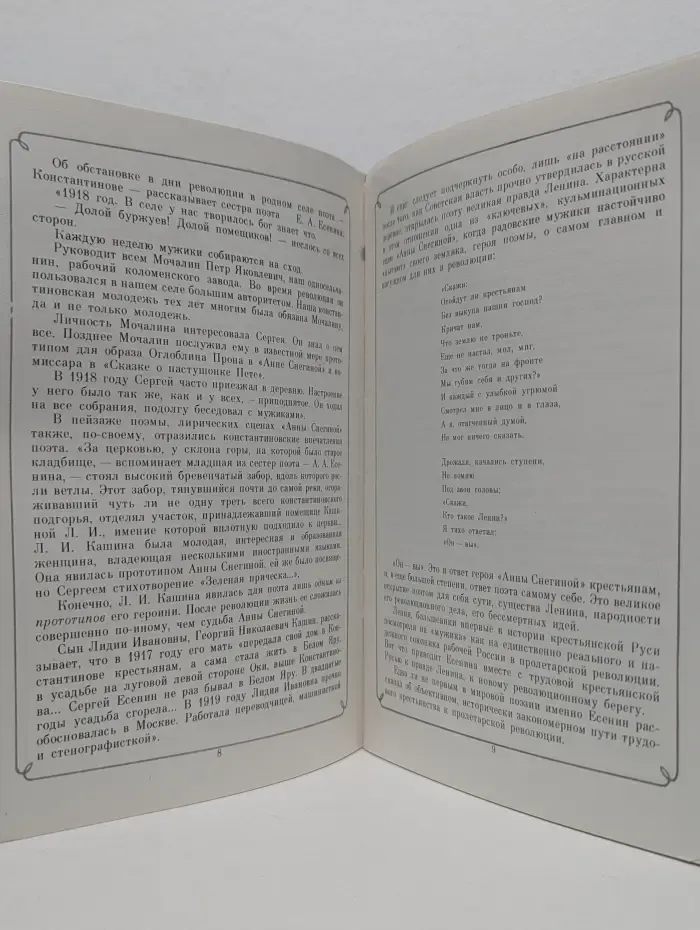 Школьная библиотека. Анна Снегина