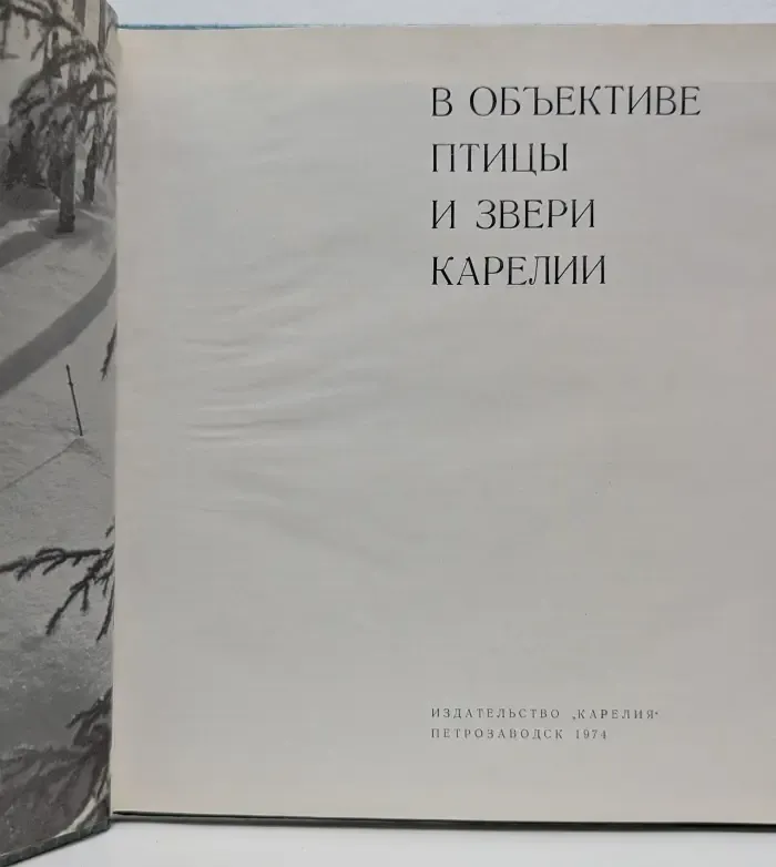 В объективе птицы и звери Карелии