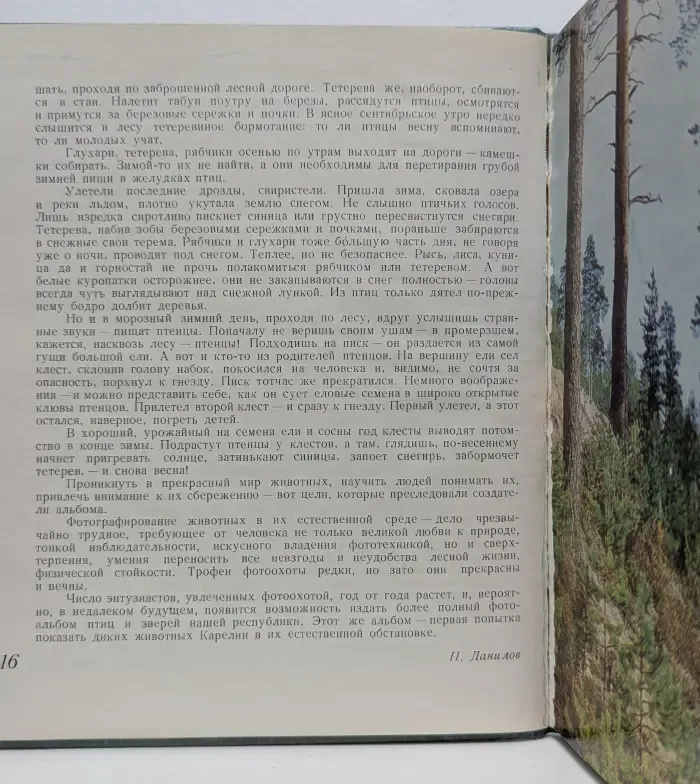 В объективе птицы и звери Карелии