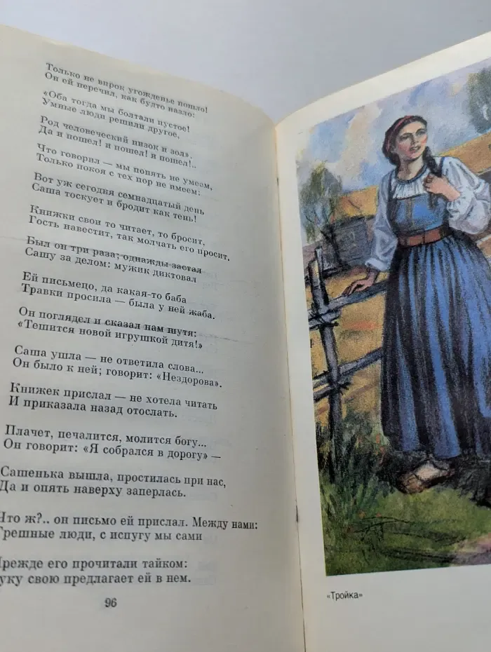 Библиотека классики. Русская литература. Н. А. Некрасов. Избранные сочинения