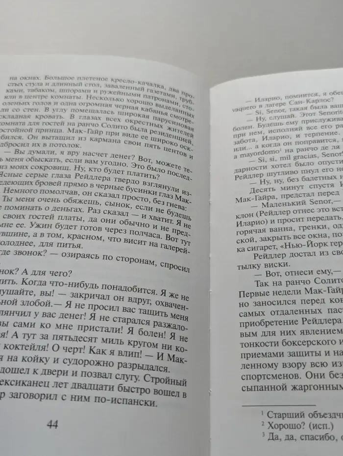 Школьная библиотека. Вождь краснокожих