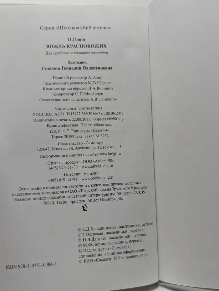 Школьная библиотека. Вождь краснокожих