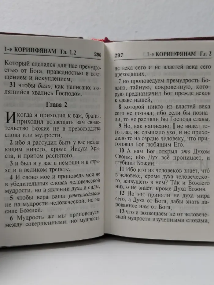 Новый Завет Господа нашего Иисуса Христа. Том 2