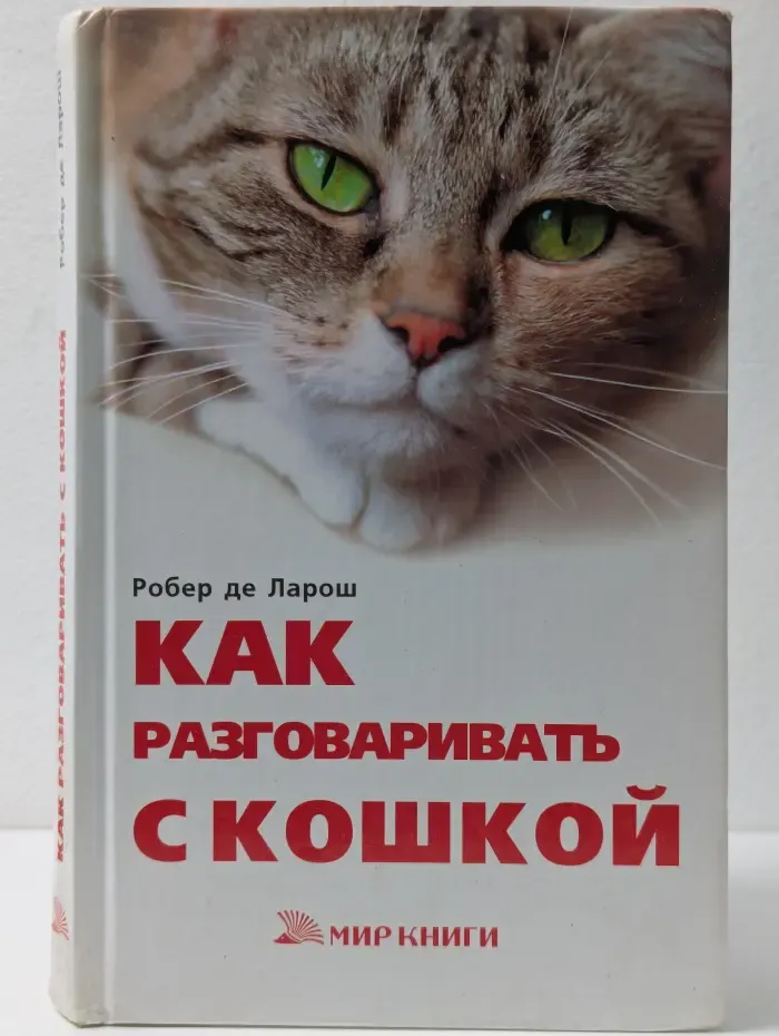 Как разговаривать с кошкой