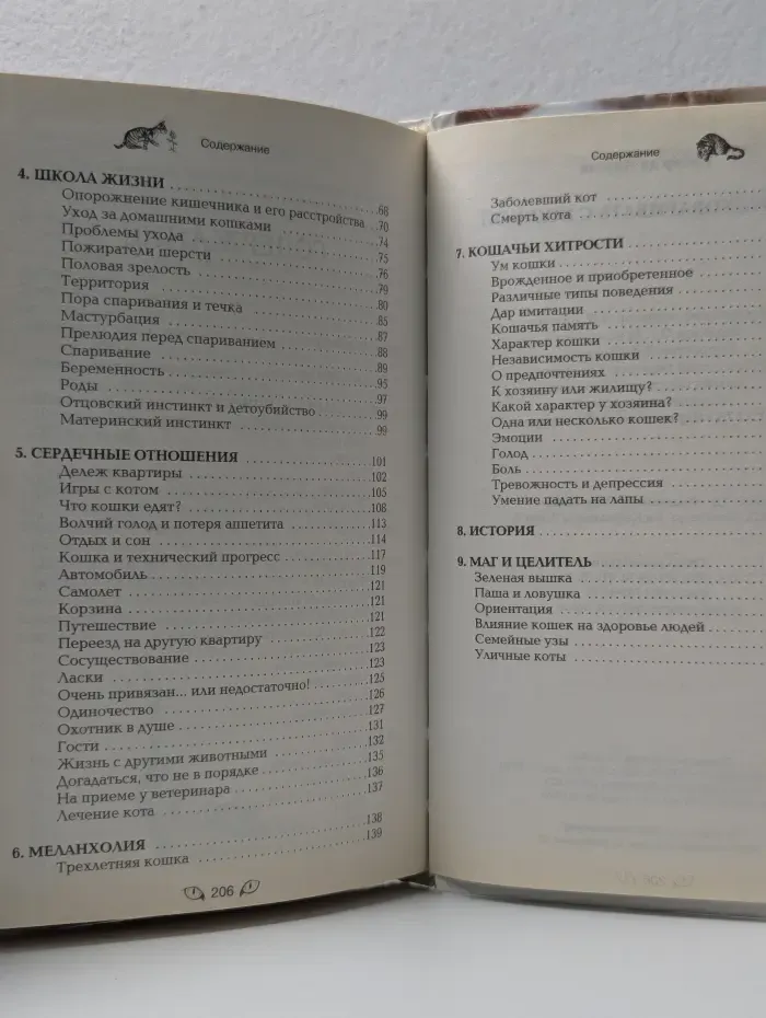 Как разговаривать с кошкой