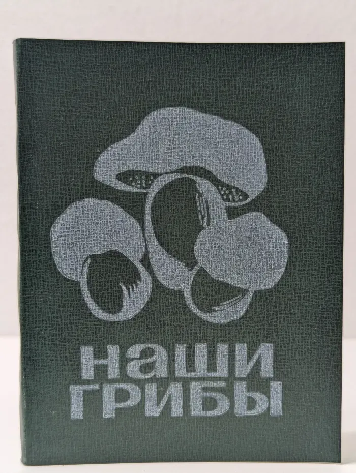 Наши грибы