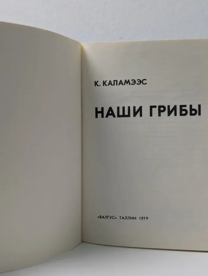 Наши грибы
