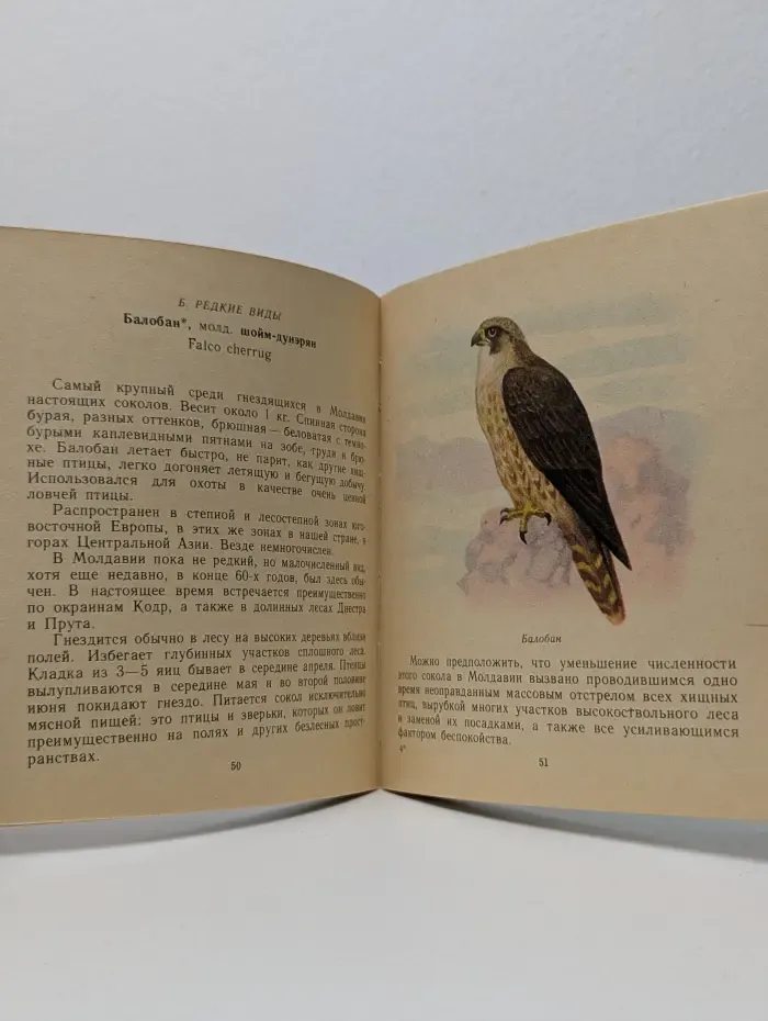 Беречь сокровища природы