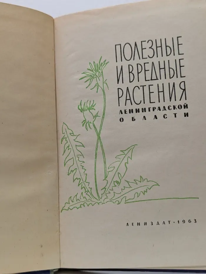 Полезные и вредные растения Ленинградской области