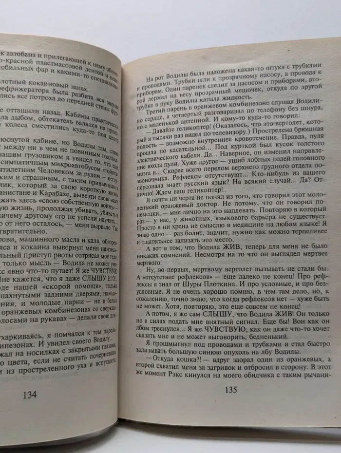 ИнтерКыся. Дорога к звездам