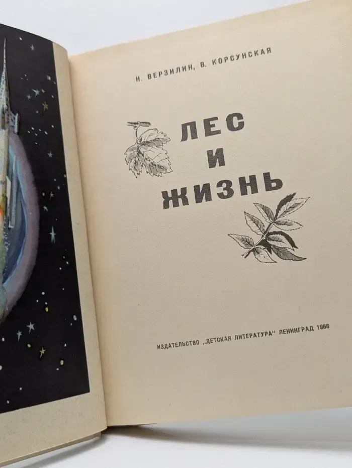 Лес и жизнь