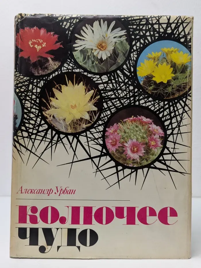 Колючее чудо