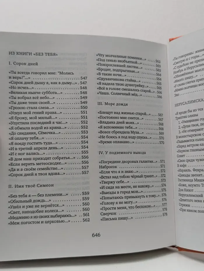 Поэтическая библиотека. Эхо