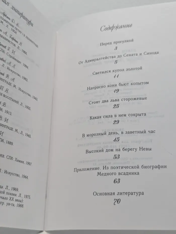 Вокруг Медного всадника
