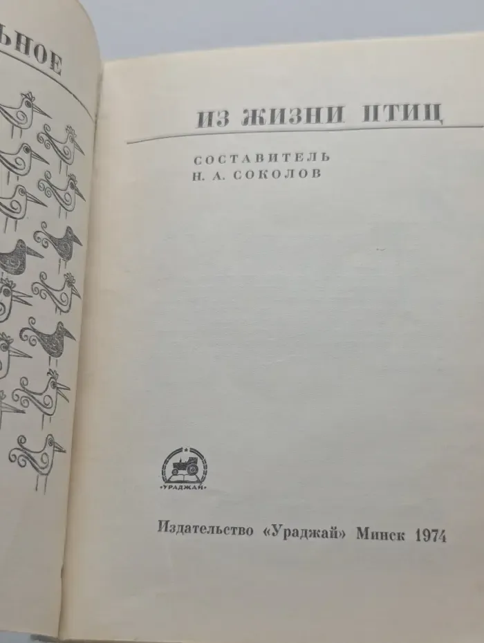 Человек и природа. Занимательное из жизни птиц