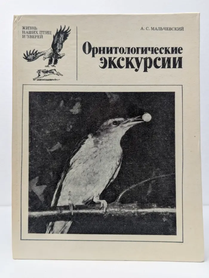 Жизнь наших птиц и зверей. Орнитологические экскурсии. Выпуск № 4