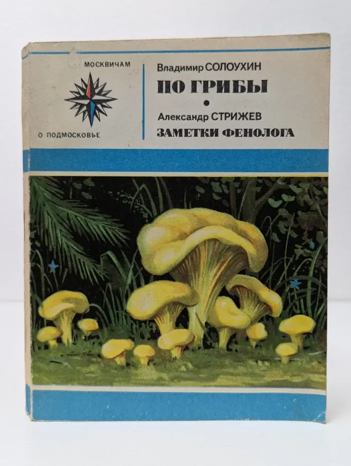 По грибы. Заметки фенолога