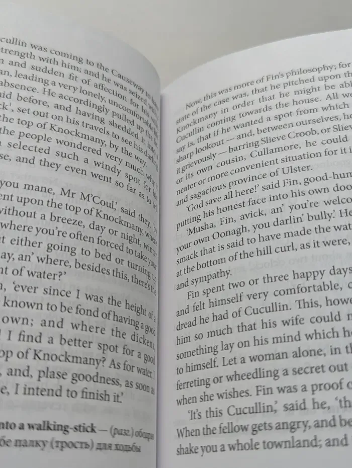 Irish Tales. Ирландские сказки