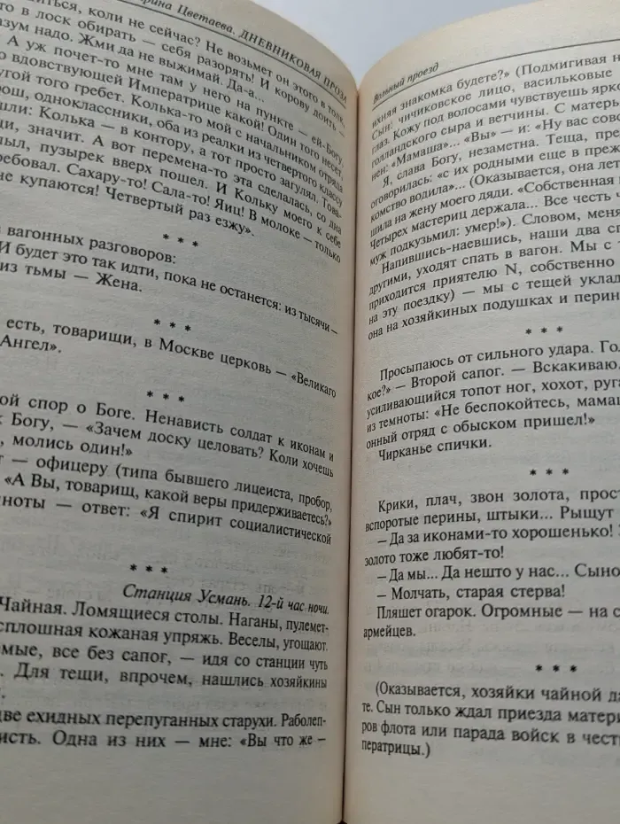 Марина Цветаева. Записные книжки и дневниковая проза