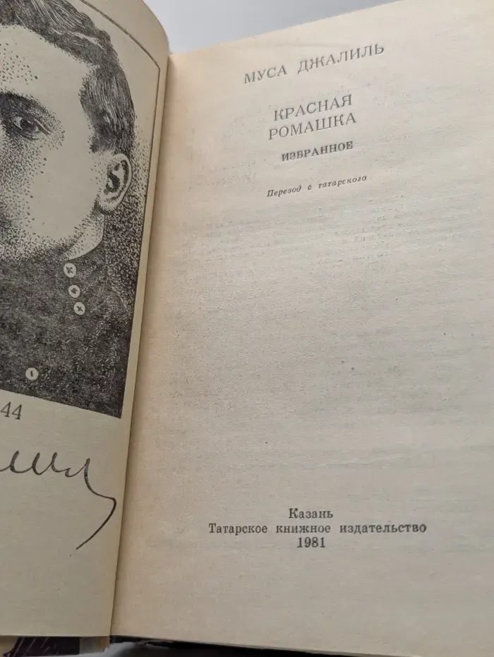 Школьная библиотека. Красная ромашка. Избранное