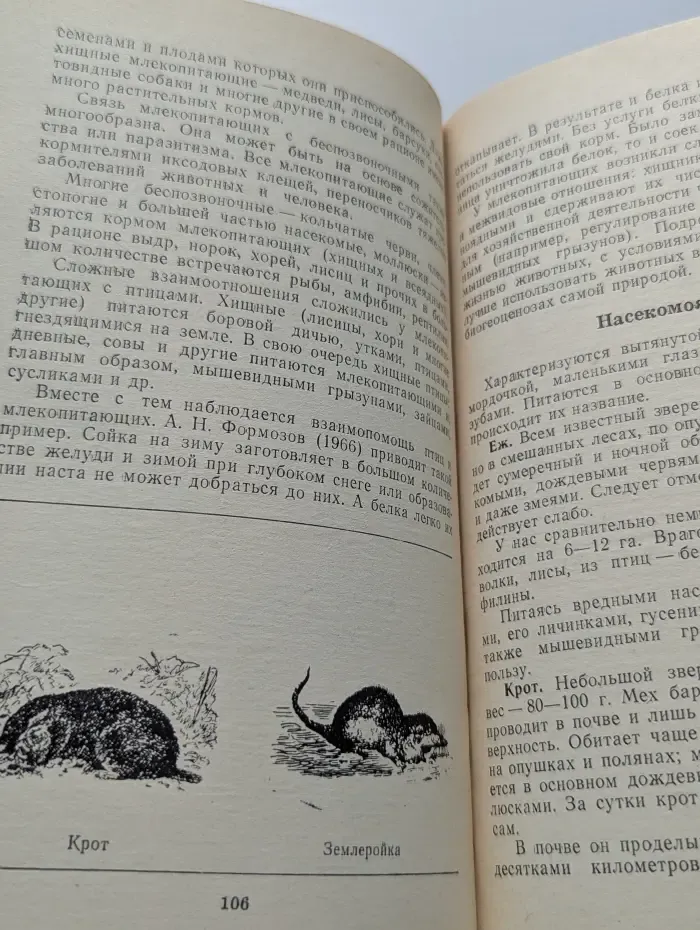 Они нуждаются в защите