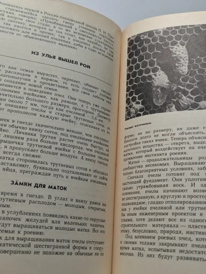 Юному пчеловоду