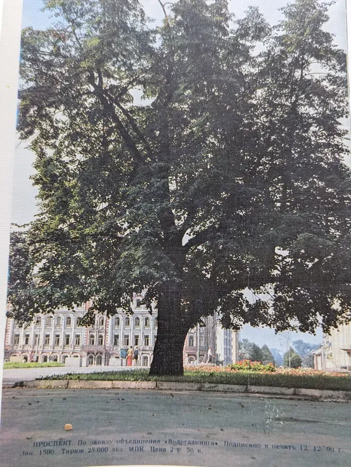 Вологда