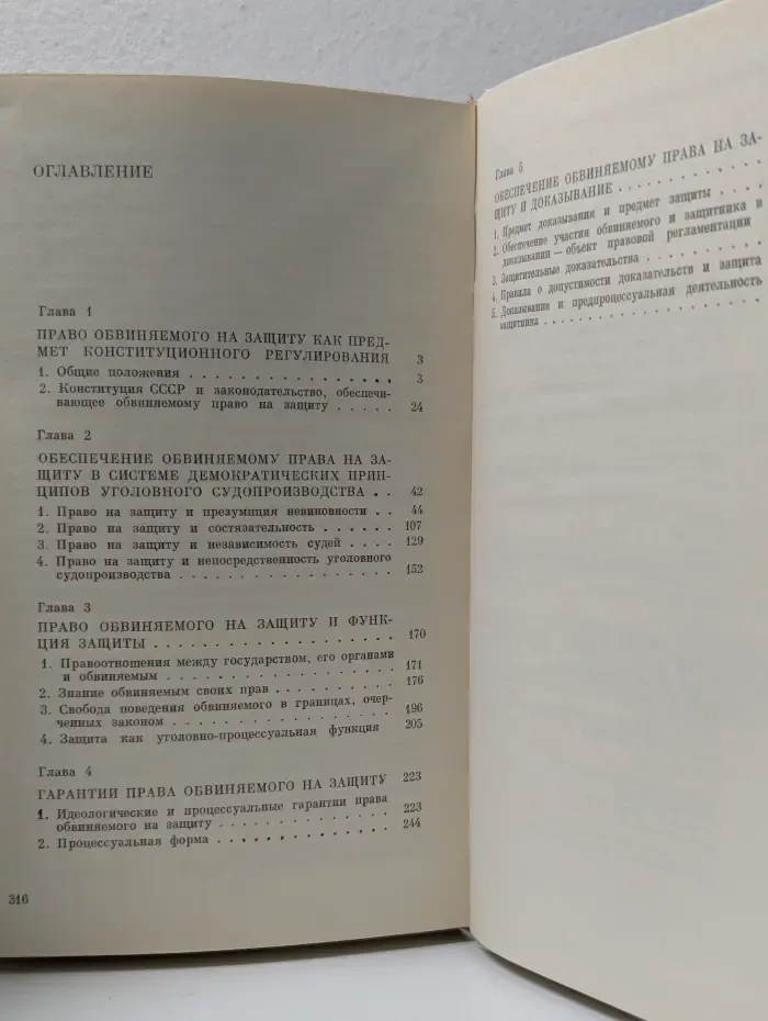 Конституционный принцип обеспечения обвиняемому права на защиту