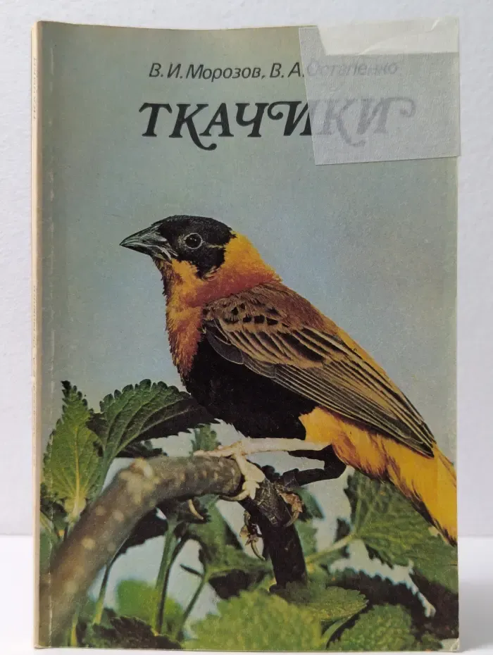 Ткачики