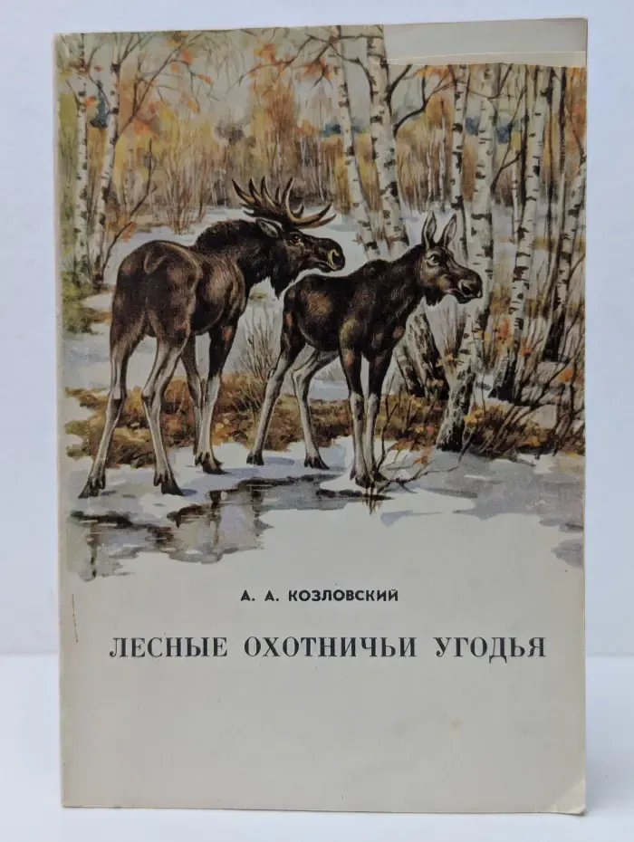Лесные охотничьи угодья
