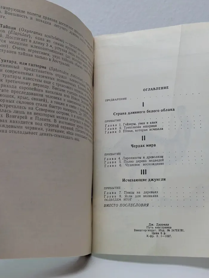 Путь кенгуренка