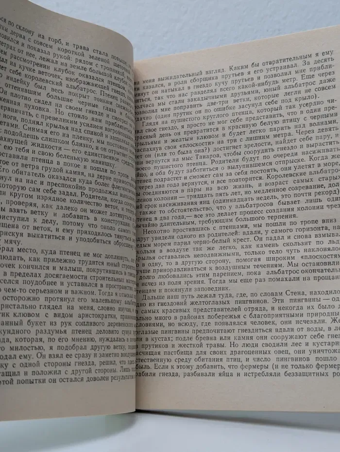 Путь кенгуренка