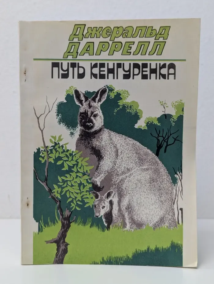 Путь кенгуренка