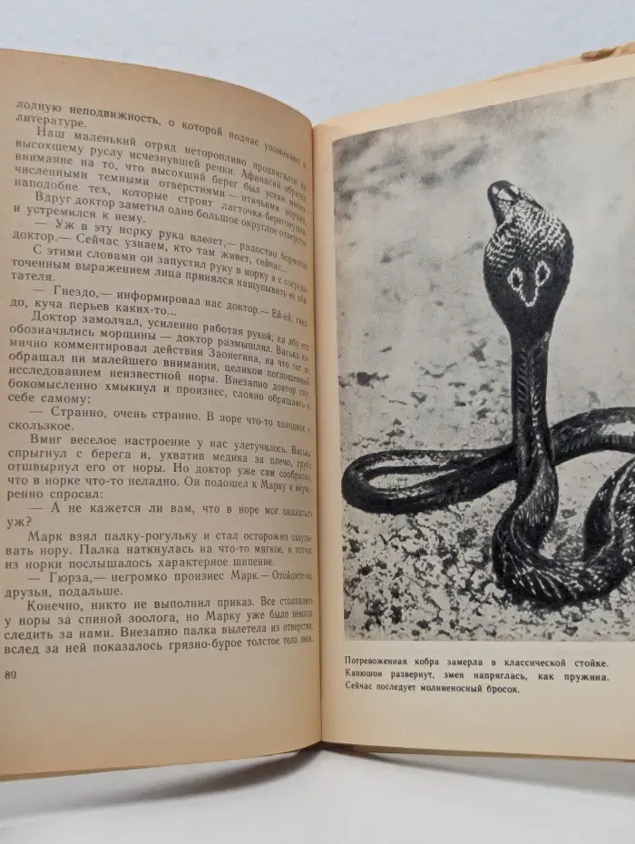 За ядовитыми змеями