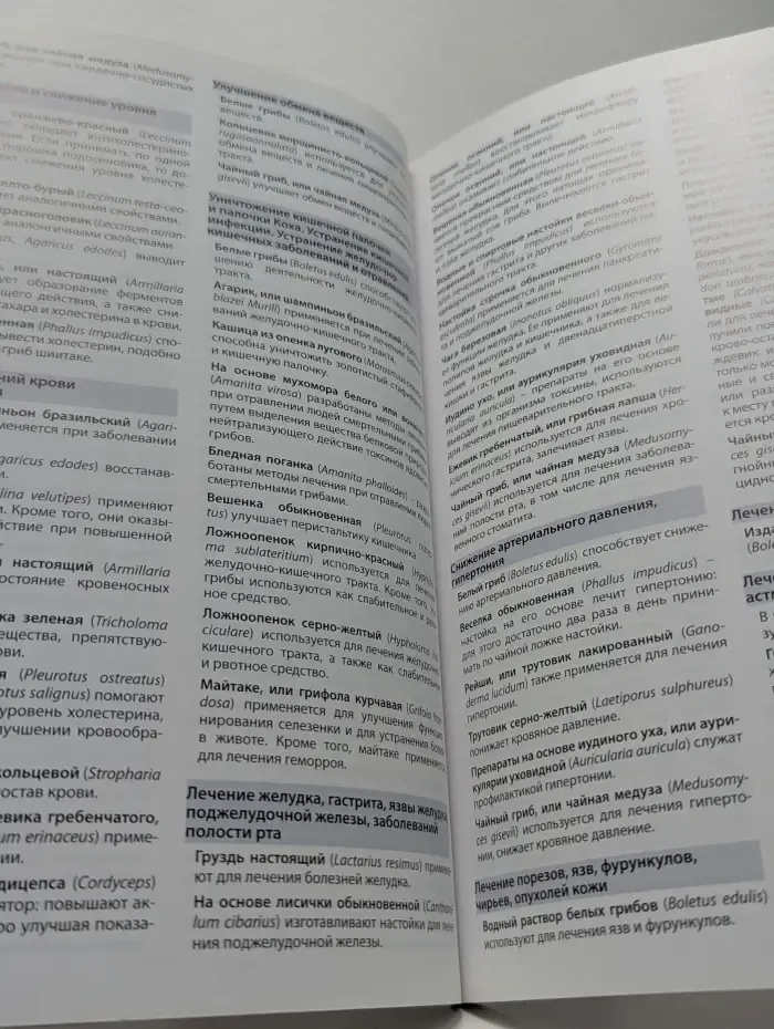 Все о лечебных свойствах грибов