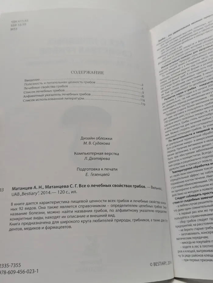Все о лечебных свойствах грибов