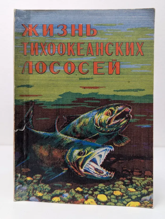 Жизнь тихоокеанских лососей